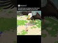 This indie team is making one of the most beautiful pixel art SRPGs i've ever seen