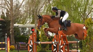 2nd Competition Highlights – METLEN Show Jumping Championship 2026 | Ippos Club