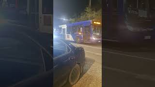 Marcopolo Torino Low Entry B2P Subus