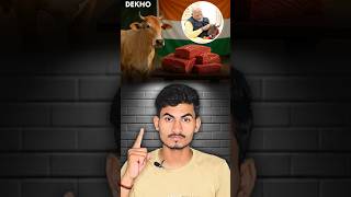 India Ranks 3Rd In Global Beef Exporter