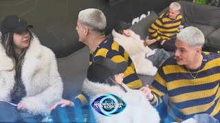 Ja Fute Thikën Grupit Alba Akuzon Londrimin