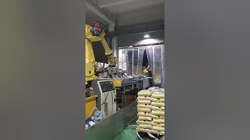 How Fanuc robotics R-2000iB 200R palletize bags?   #industrialautomation #manufacturing #palletizing