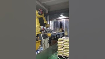 How Fanuc robotics R-2000iB 200R palletize bags?   #industrialautomation #manufacturing #palletizing
