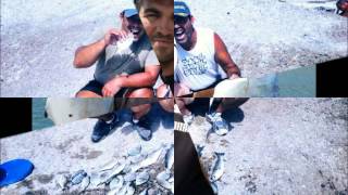 TEAM GLADO PESCA Y DISFRUTE