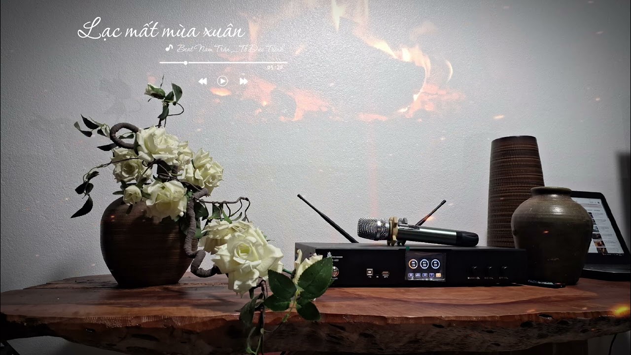 LẠC MẤT MÙA XUÂN _ Đức Trình Audio