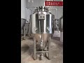 150L Beer fermenters/Beer fermentaiton tank