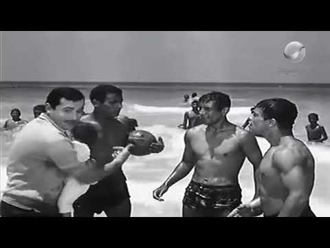 قطة في الخناقات أسد في البيت