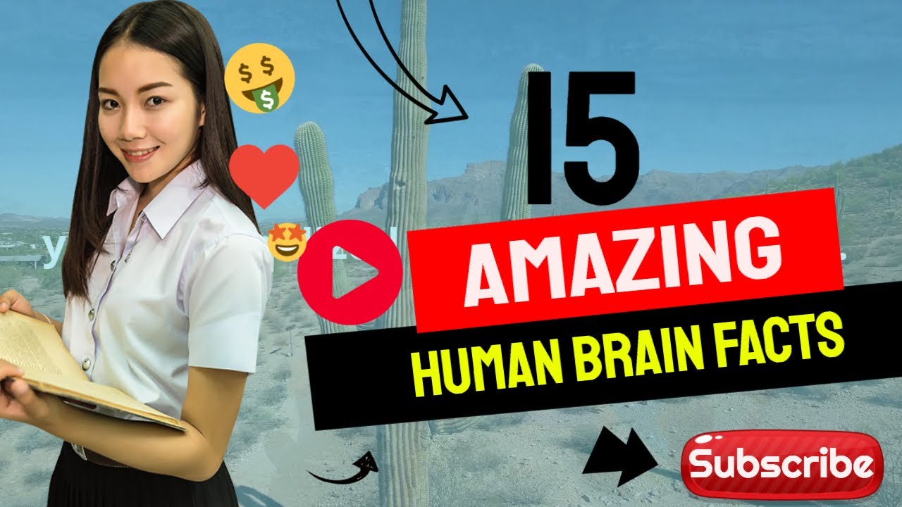 15 Amazing Human Brain Facts - YouTube