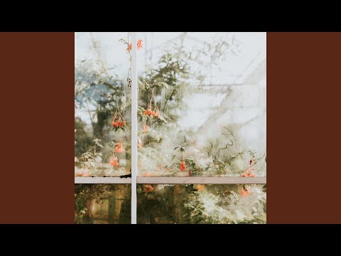 Stephen, Lucas Breeze - Advisory Interlude