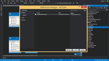 There was an error running the selected code generator:Could not load file or assembly xyz.dll