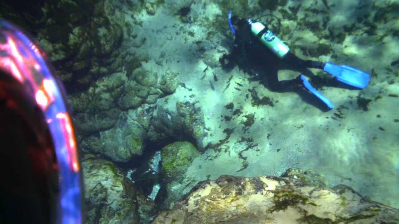 Snorkeling and Diving at Alexander Springs YouTube