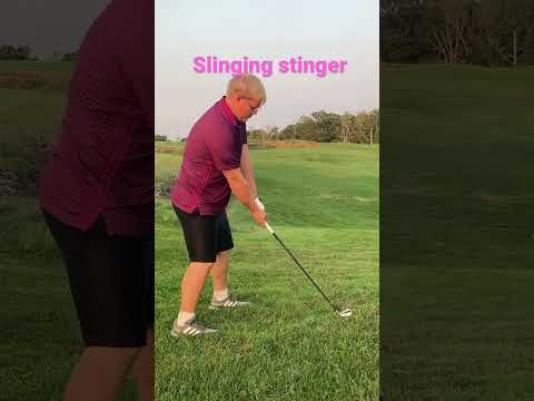 Little Slinging Stinger🚀.