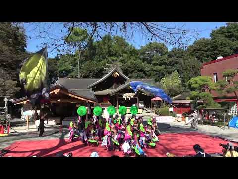 【dance company REIKA組】秦野元気まつり　秋の陣　2022 コンテスト演舞