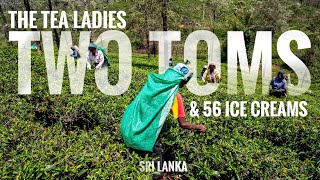 5 | The Tea Ladies, Two Toms, and 56 Ice Creams - Nuwara Eliya, Sri Lanka