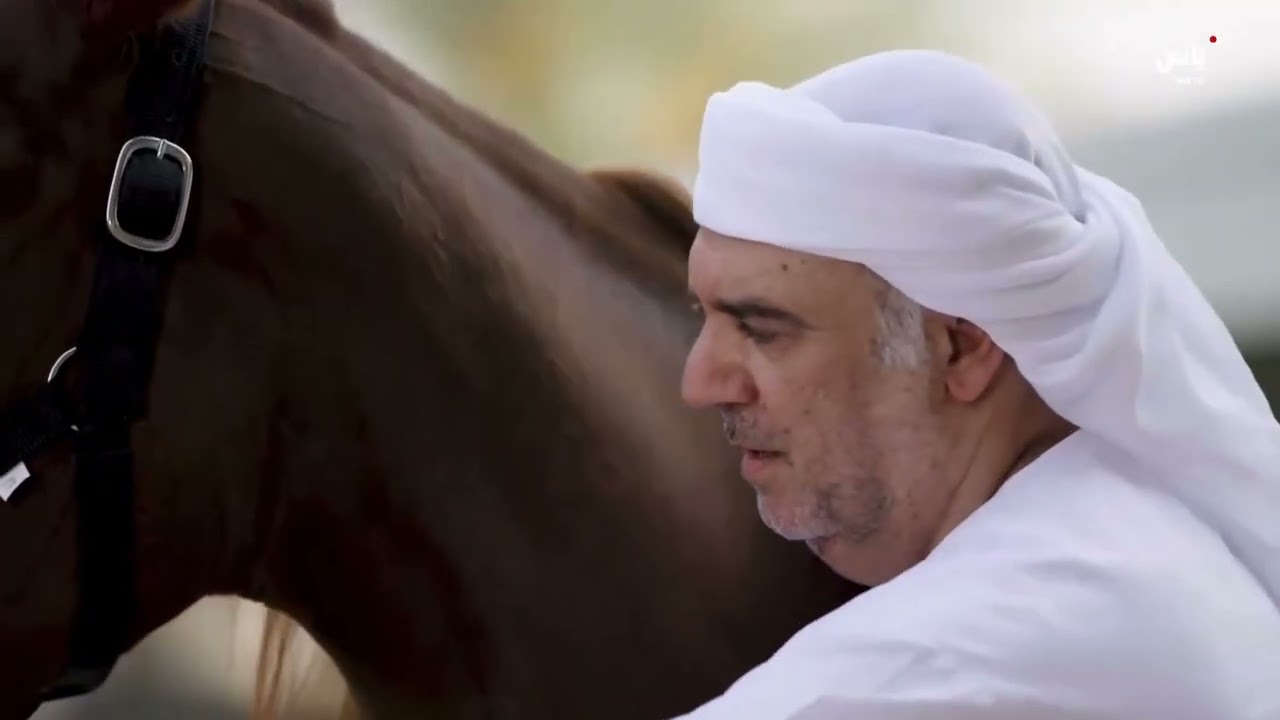 مشاركتي وحديثي#برنامج حفوز #مواصفات امهار السباق #خالد_الرحومي