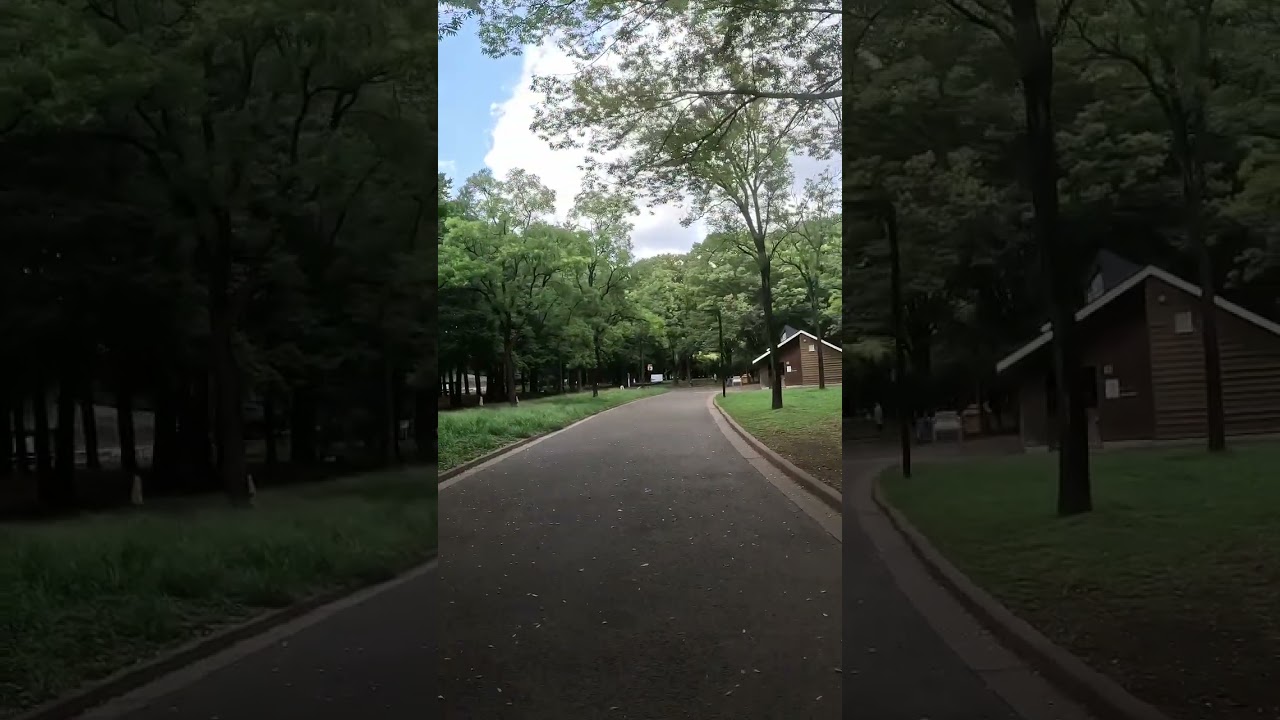 #music #travel #japan #travelvlog #wanderlust #park #tokyo #yoyogi #park #trending #viral #shorts