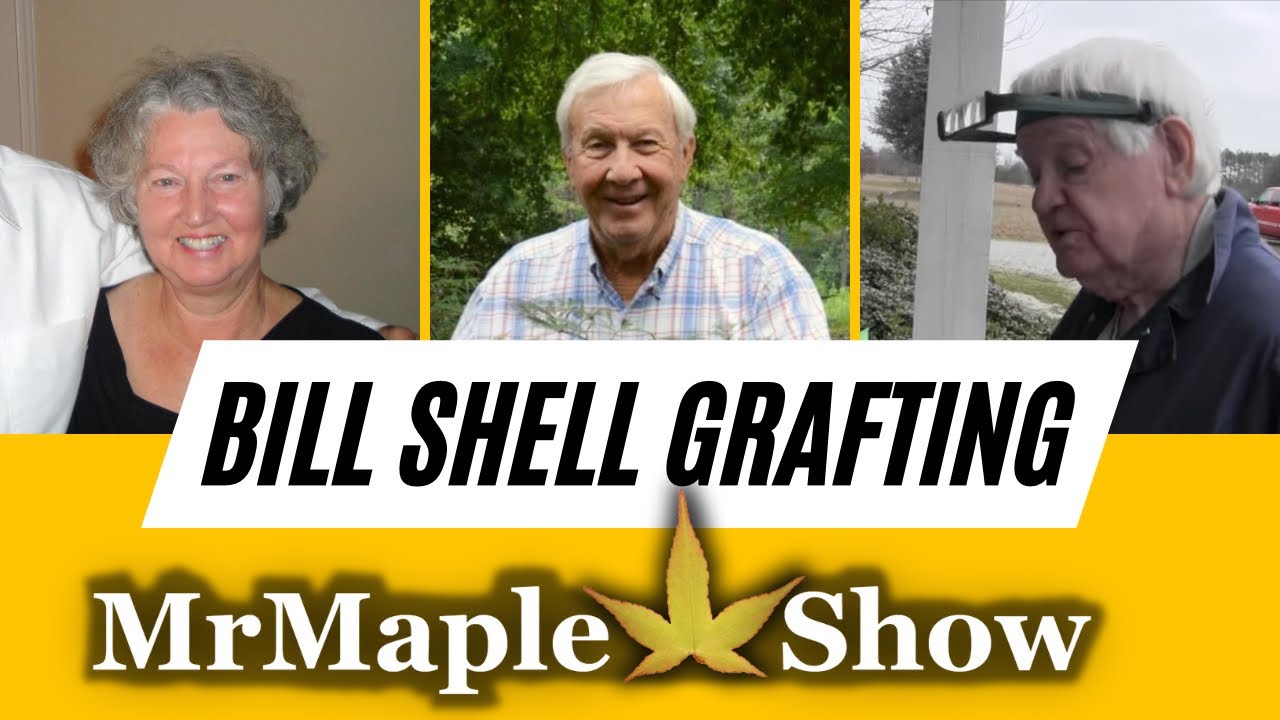 Bill Shell Grafting Japanese Maples with Alabama Legends ~ Coach Pat Dye, Bill ...