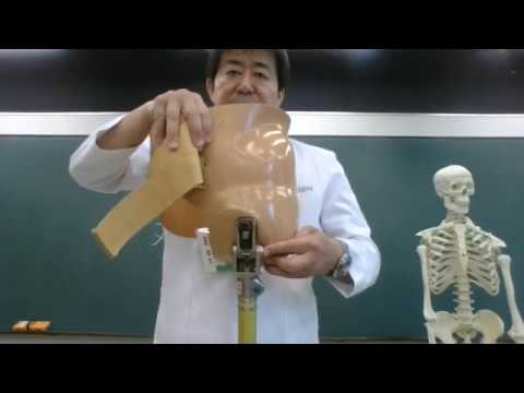 大阪医専 義肢学講義 梶原良之 理学療法 股義足 膝義足 サイム義足 足部部分切断義足 Youtube 大阪医専 義肢学講義 梶原良之 理学療法 股義足 膝義足 サイム義足 足部部分切断義足 Youtube