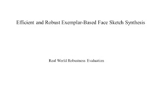Real World Robustness Evaluation