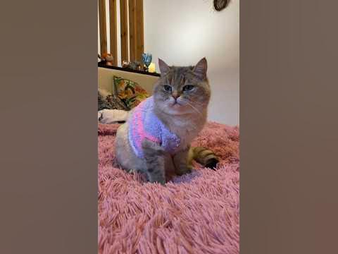 Клиент-обманщик 2 - YouTube