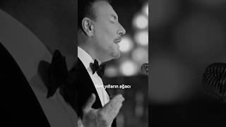 🎶 Cenk Eren - Yılların Ağacı