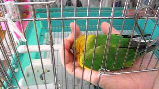 MVI_4163.AVI