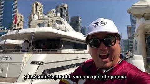 Video socio japonés visita Dubai!! Evento QubitTech 🌃👍😎 1 al 4 Octubre 2020 (subtítulos español)!!