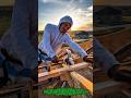 Manual Roof Frame Fastening Process Using Hammer and Nails.