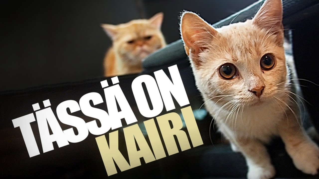 Tässä on Kairi - YouTube