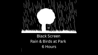 6 hours Black Screen Birds at Park in Rain white noise for relaxing, studying, mediation and sleep.