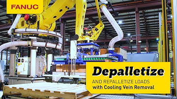 Revolutionizing Palletizing Efficiency with Kaufman Engineered Systems