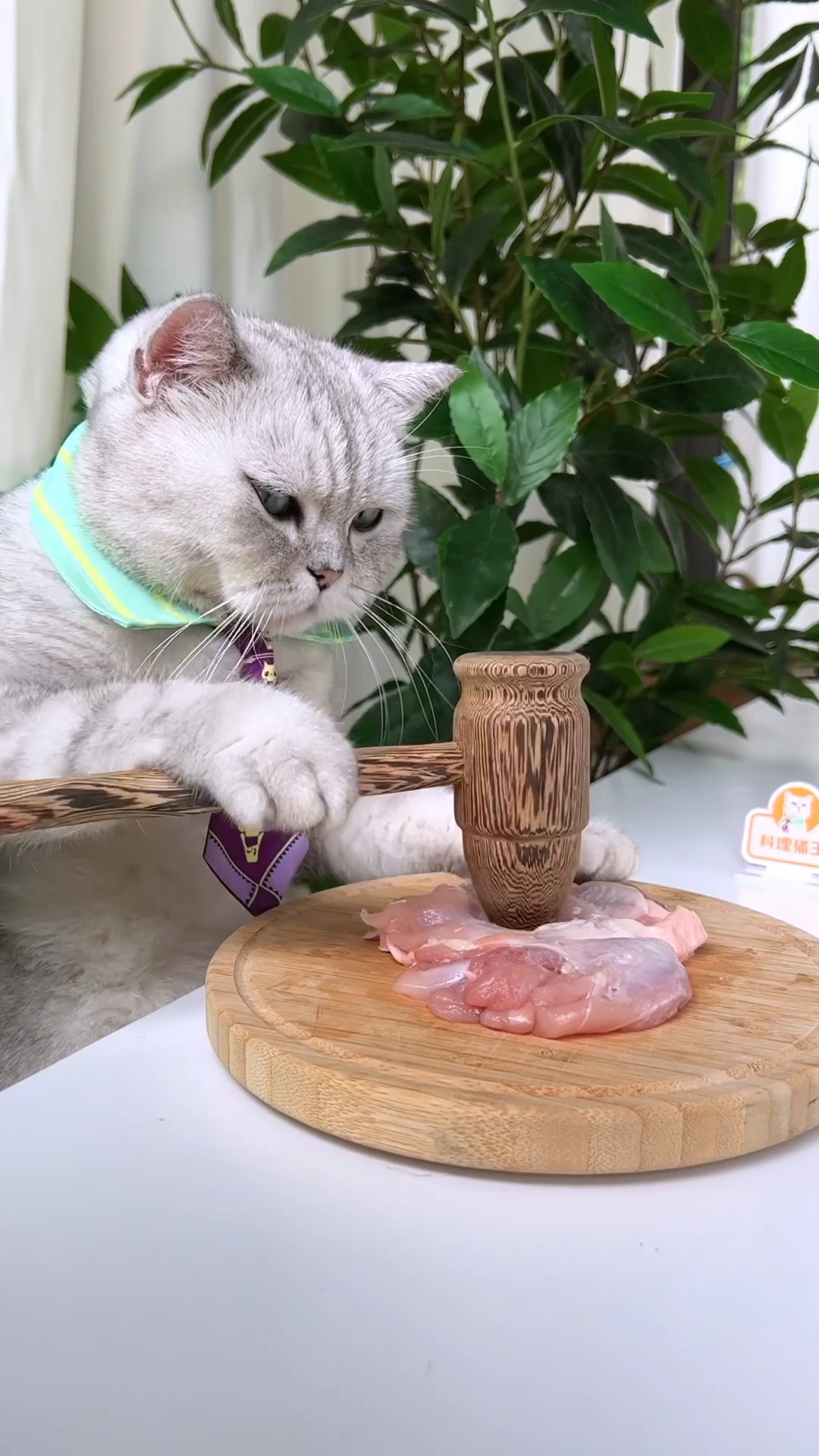 Master Cat Making Moon Cakes ?Crab Roe Noodles Delicious ?