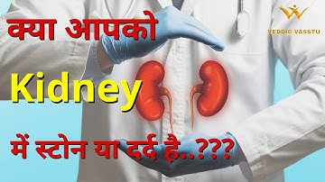 क्या आपकी Kidney में स्टोन या दर्द है...??? | By Acharya Divyaan Patel