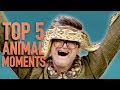 Top 5 GMM Animal Moments (2018)