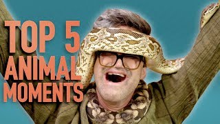 Top 5 GMM Animal Moments (2018)