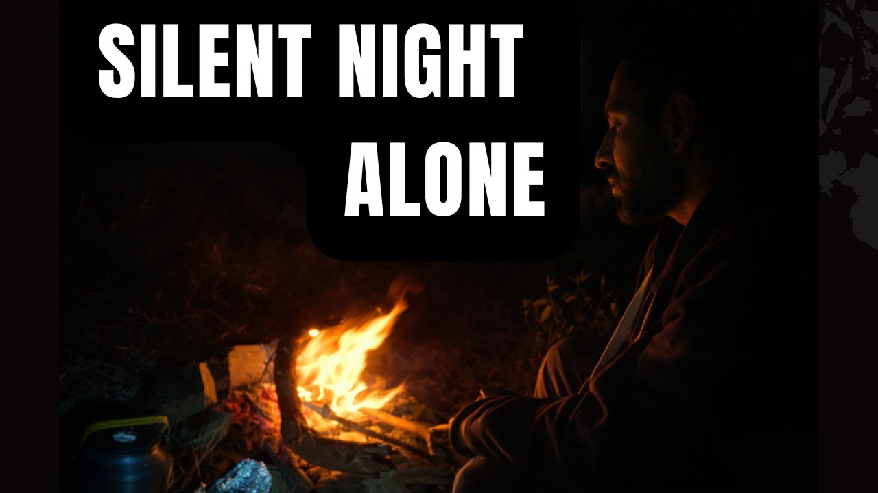 A Silent Night Alone in the Forest | ASMR