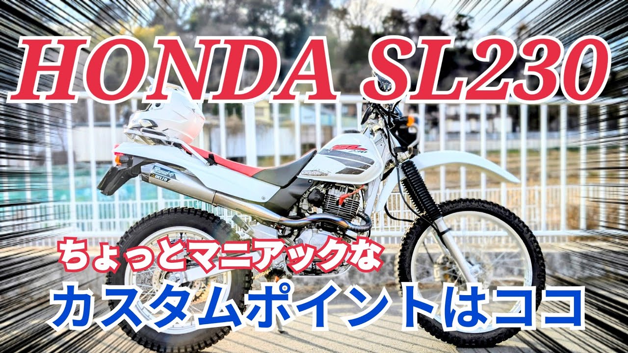 カスタムポイントはココ】ホンダSL230 2号機カスタムして自分仕様にし 