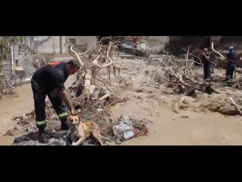 13 ივნისის გახსენება - ტრაგედიიდან 1 წელი გავიდა