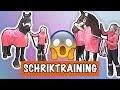 SCHRIK TRAINING MET EVE EN VITO! | PaardenpraatTV