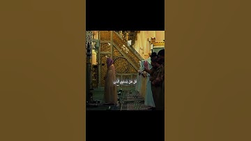 أمّن هو قانت آناء الليل ساجدًا وقائمًا | تلاوة خاشعة للشيخ أحمد بن طالب