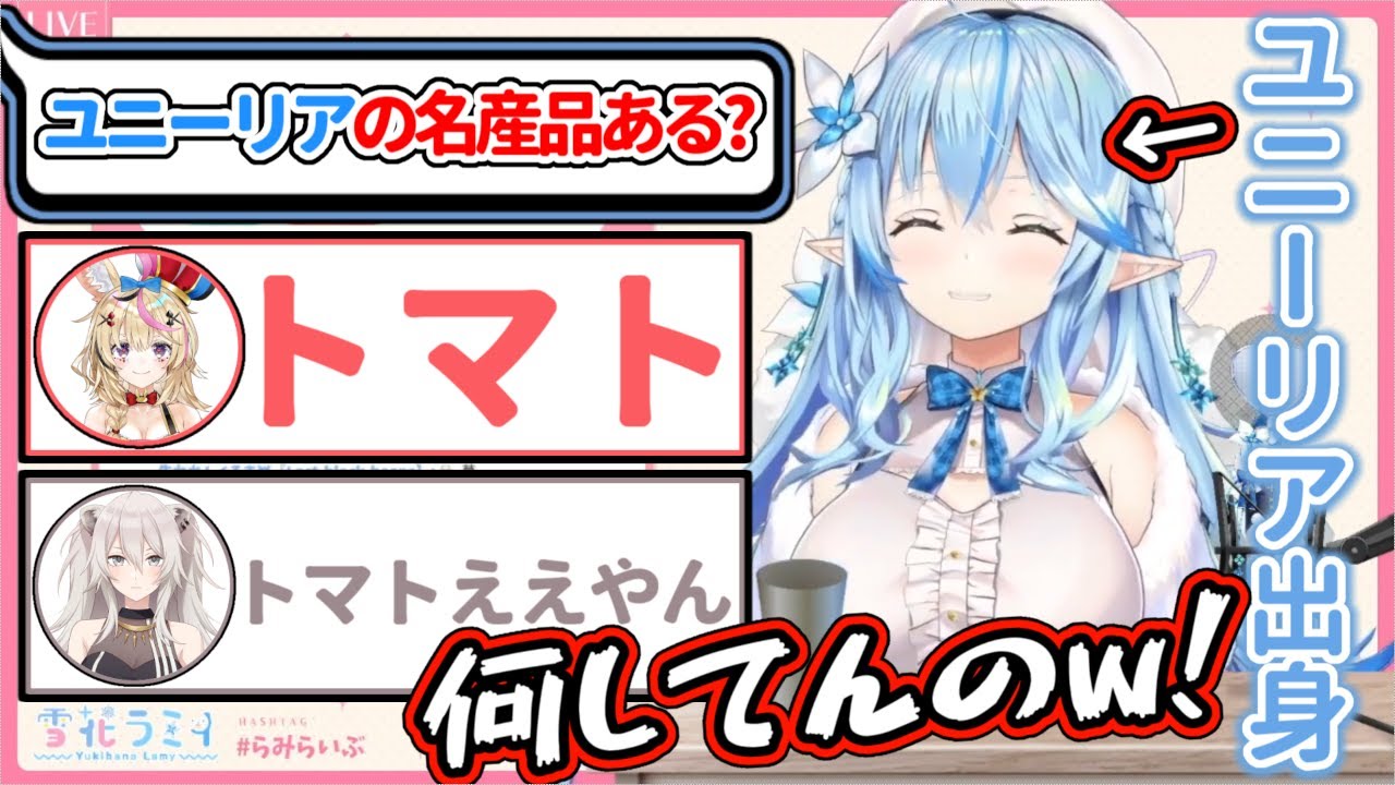 『551の肉まん』をご存じなかった結果、地域ネタを経て最終的に同期に変な設定を生やされる雪花ラミィ【ホロライブ/雪花ラミィ/尾丸ポルカ/獅白ぼたん】