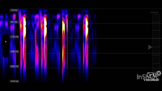 Heart ￼with the Spectrogram ￼8