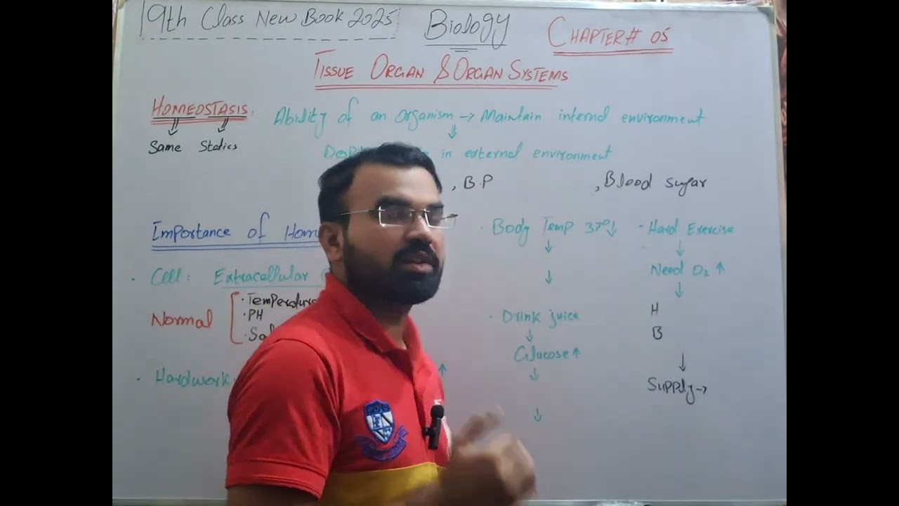 Homeostasis | Importance Of Homeostasis | Lec # 8 | Biology Chapter 5 | 9th Class | New Book 2025