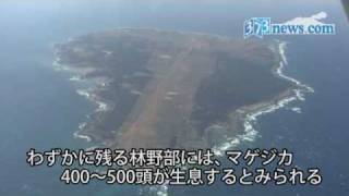 馬毛島を空撮 2010年2月28日