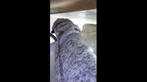 MAXIMUM 7-Pc Plier Set video review by Brian