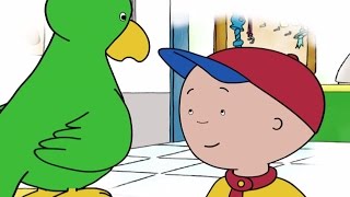 Caillou English Full Episodes | Where's Gilbert? | Videos For Kids | Caillou New HD!