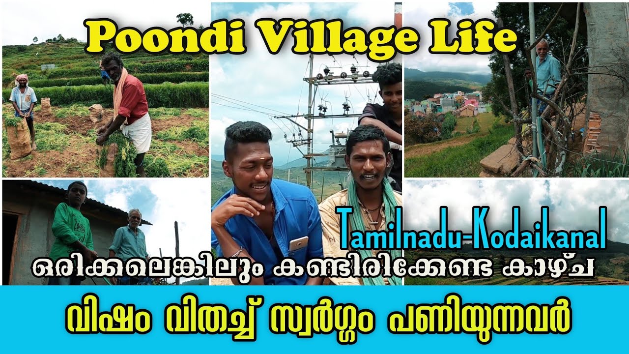 പച്ചയായ മനുഷ്യർ | Poondi Village Tamilnadu-Kodaikanal | Village Life ...