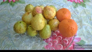 Amrood Ke Chaat Guava Chaat Cpisy Tasty Recipe By Shahzadi Ka Kitchen