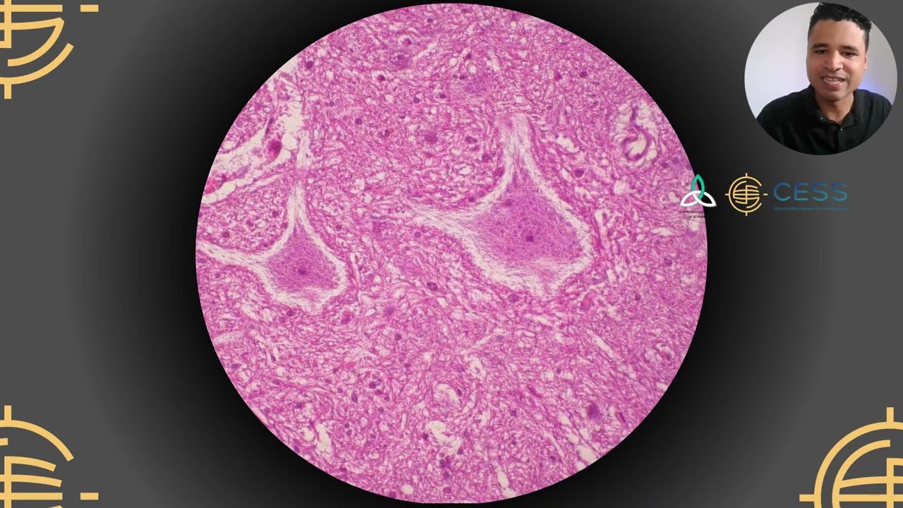 1° CONEURO - A anatomia do neurônio e do axônio