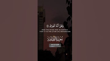 تلاوات مختارة 🎧🖤 || القارئ ليث محمد